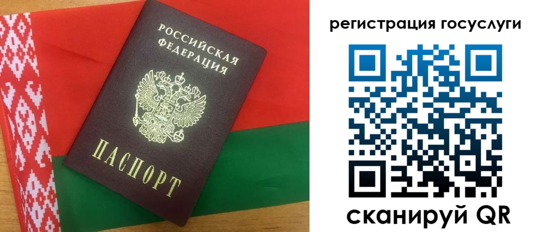 временная регистрация поиск в Белгородской области